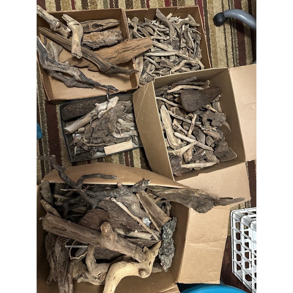 Driftwood 42# Lot  aquarium terrarium beach decor taxidermy Hermit‎ Crabs +++